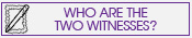 Who are the two witnesses?