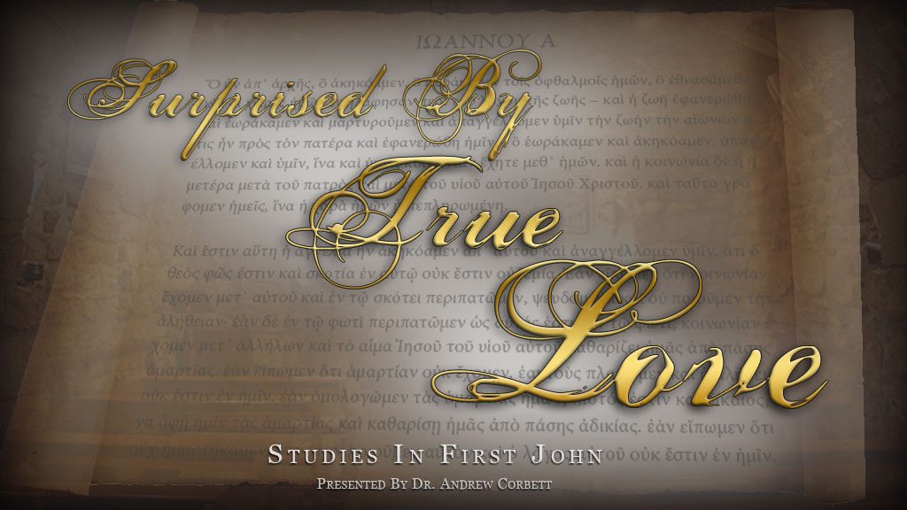Surprised By True Love - Studies In First John for Small Groups