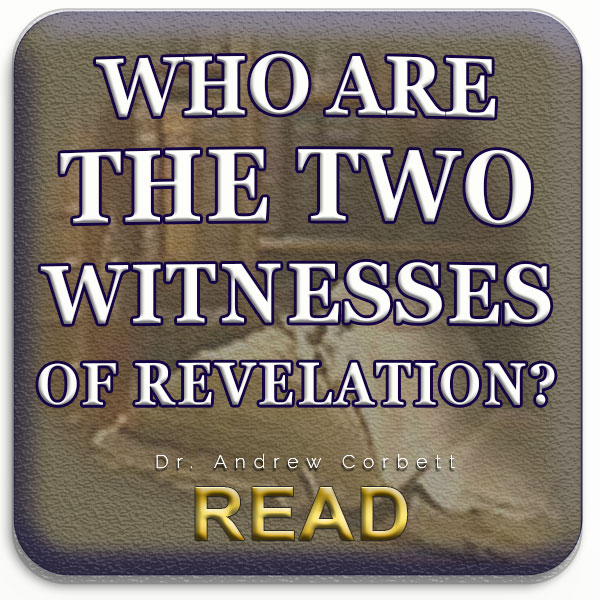 The Two Witnesses Of Revelation
