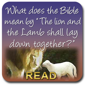 The Lion And The Lamb Shall Lay Down Together Not In The Bible